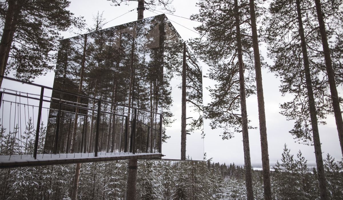 Dormir dans les arbres en Suède, au Tree Hotel