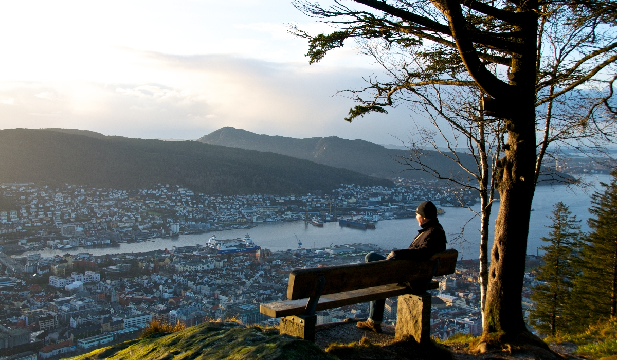 Vue sur Bergen depuis le point de vue du mont Fløien - la capitale des fjords en Norvège
