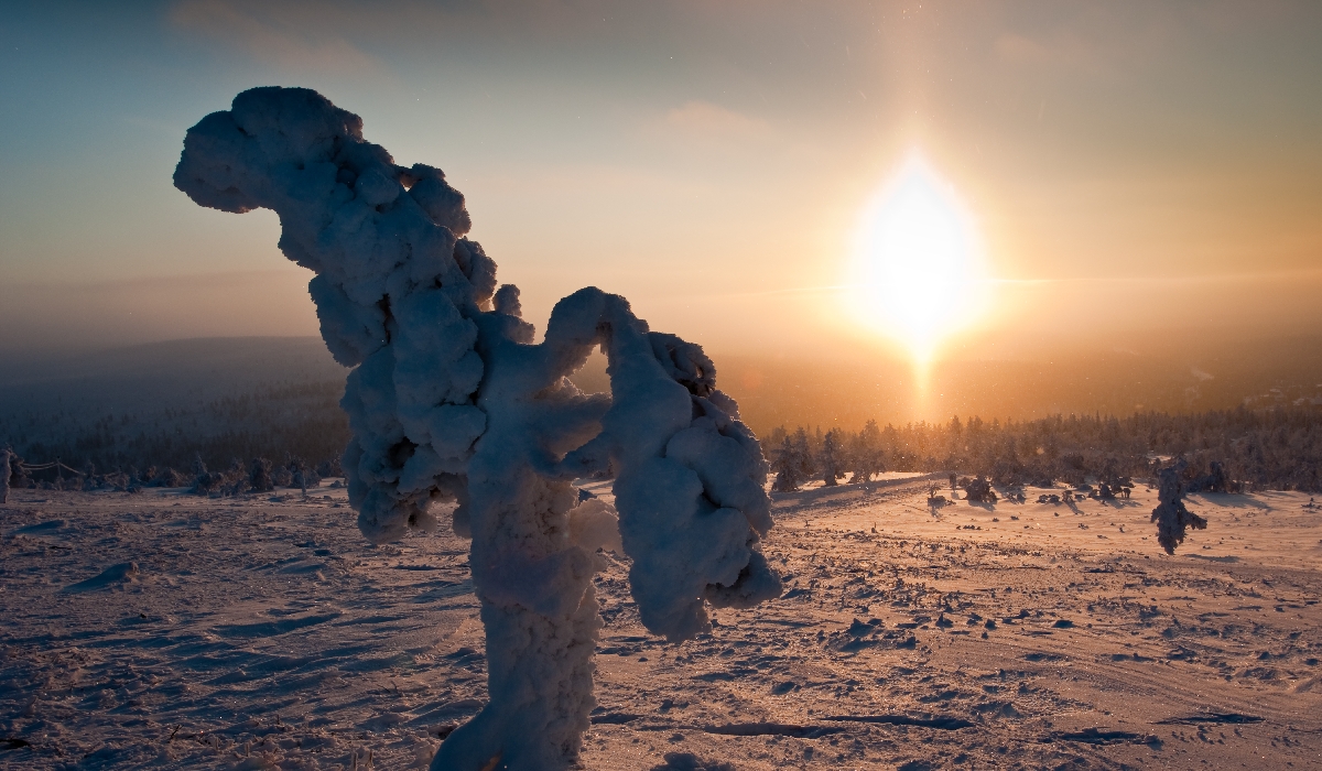 Féérie des paysages enneigés de Laponie en Finlande